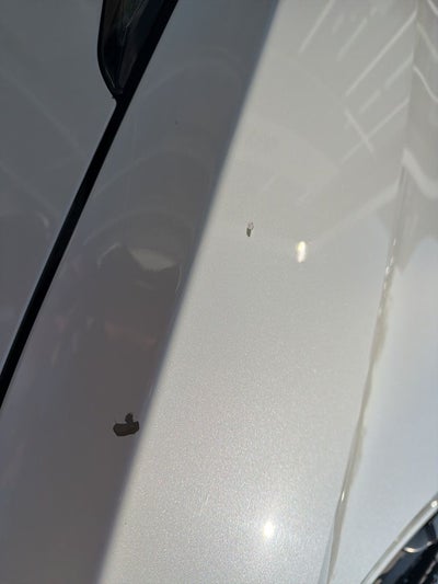 2019 Nissan Murano SV